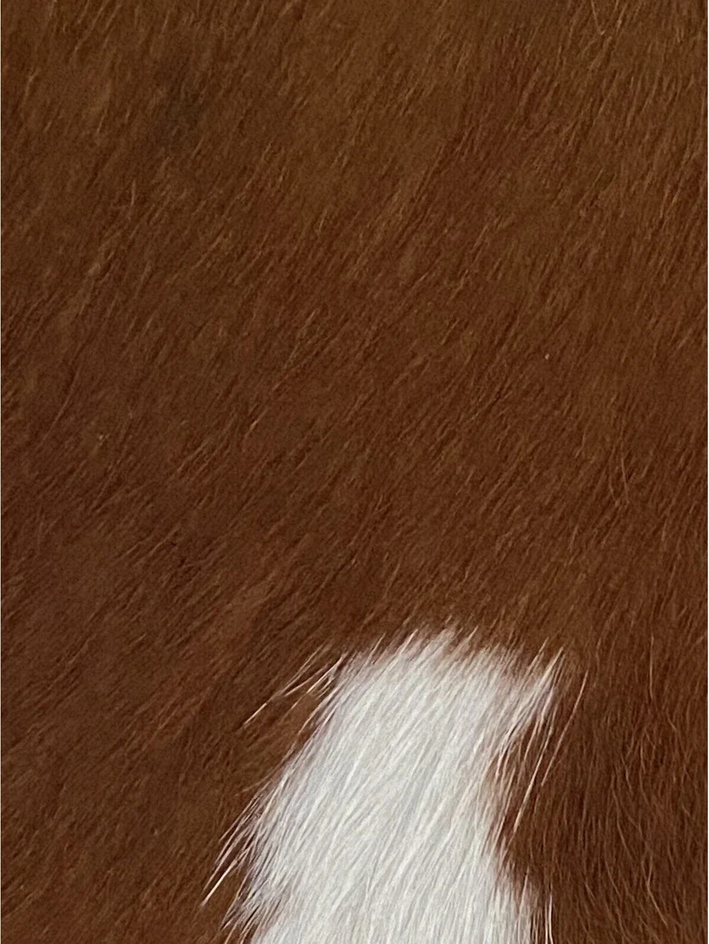 Pair of Natural Cowhide Throw Pillows Genuine Hair on Hide Brown White 16”